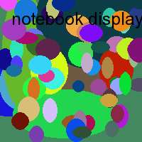 notebook display probleme
